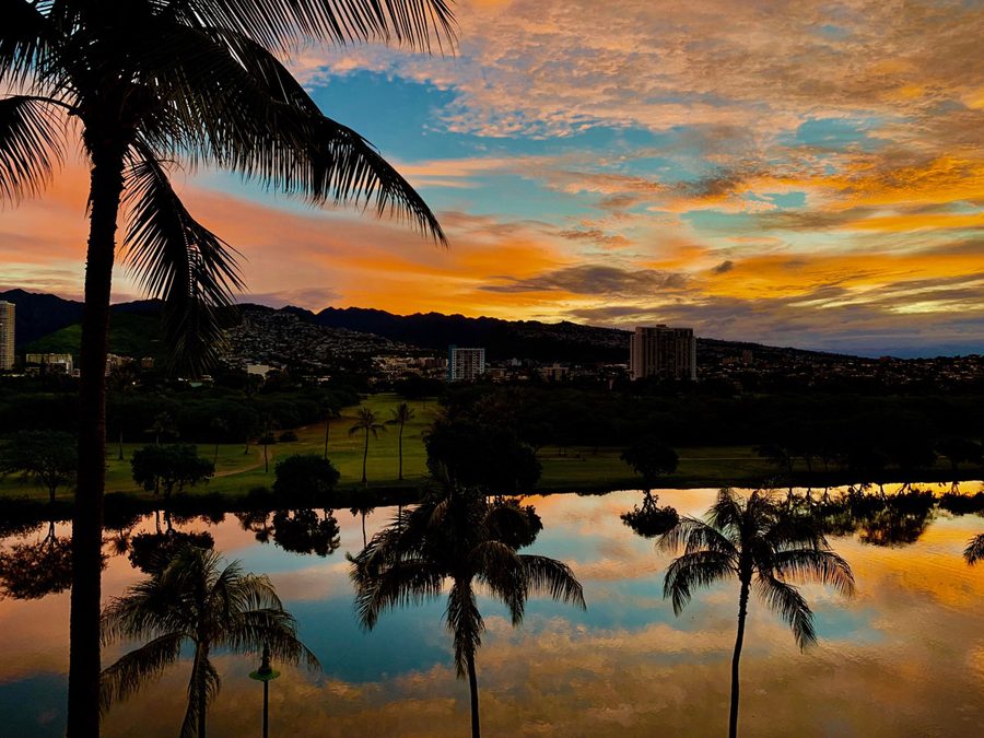Palm tree reflections in the Ala Wai canal at golden hour