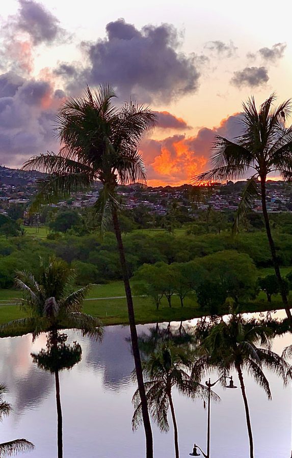 Sunset over Honolulu neighborhood with palm trees